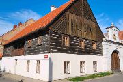 Ustek jezuitsky dvurm